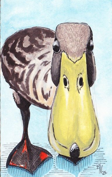 Ente Eine braun gefiederte Ente mit gelbem Schnabel und roten Füßen.