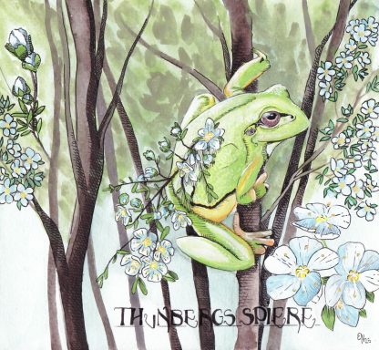 Thunbergs Spiere Grüne Frosch sitzt zwischen blühenden Zweigen mit kleinen weißen Blumen. Ein zarter Zweig mit kleinen Blüten wächst ihm auf der Wirbelsäule.