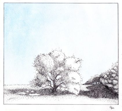 Kirschbaum Ein einzelner Baum steht auf einer Wiese am rande eines Waldes, vor einem sanften, blauen Himmel.