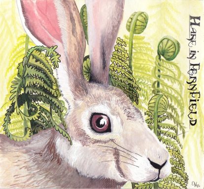 Hare in Fern Field Ein Hase vor einem Hintergrund aus Farnen.