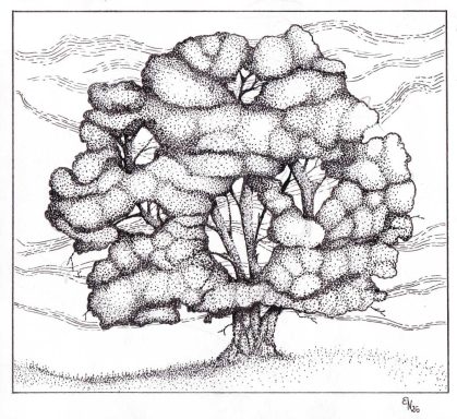 Buche Ein gezeichneter Baum mit vollem, strukturiertem Laub vor einer sanften Wolkenlandschaft.