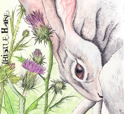 Thistle Hare Weißes Kaninchen mit großen Ohren, umgeben von lila Distelblüten.