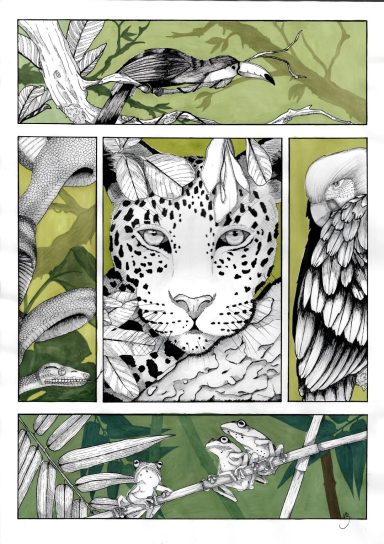 Dschungel Illustration von einem Jaguarkopf zwischen Pflanzen und Vögeln in verschiedenen Panels.